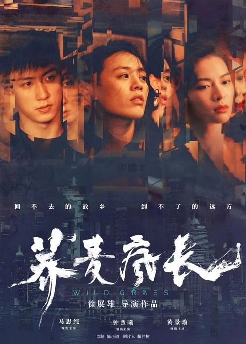 怎么买假的加拿大